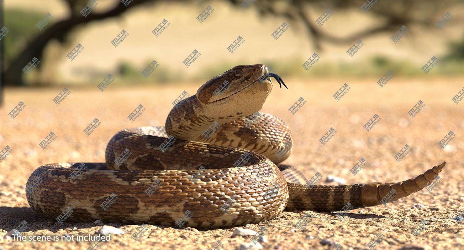 images/goods_img/202105072/3D Light Rattlesnake/5.jpg